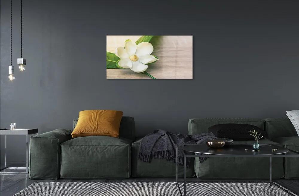 Sklenený obraz biela magnólia 120x60 cm