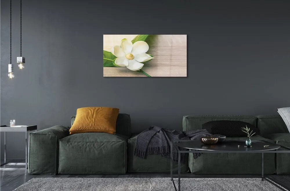 Sklenený obraz biela magnólia 125x50 cm