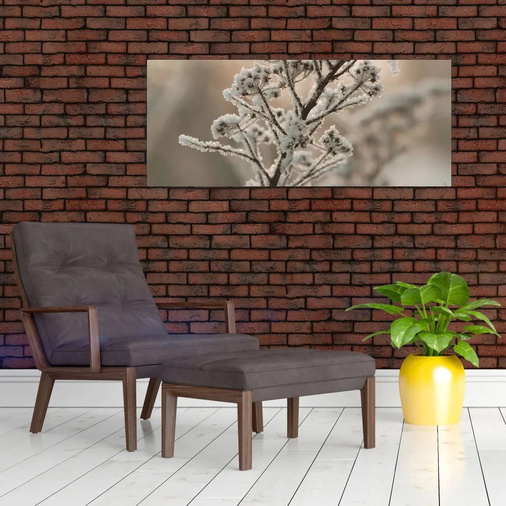 Obraz - Rastlina v mraze (120x50 cm)