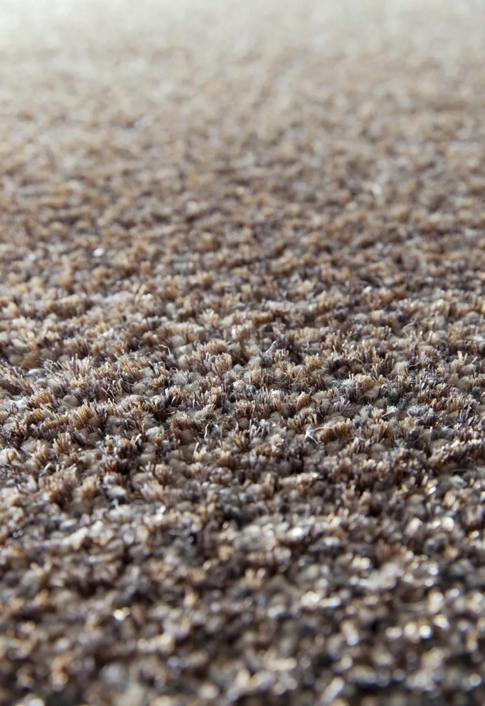 Osta, Kusový koberec Lana 0301 910, 200x290, hnedá, obývacia izba