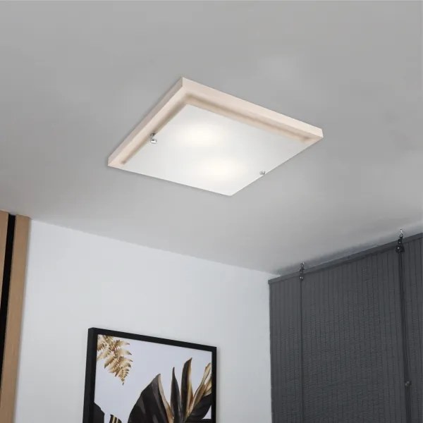 Stropné svietidlo 1xE27/60W/230V