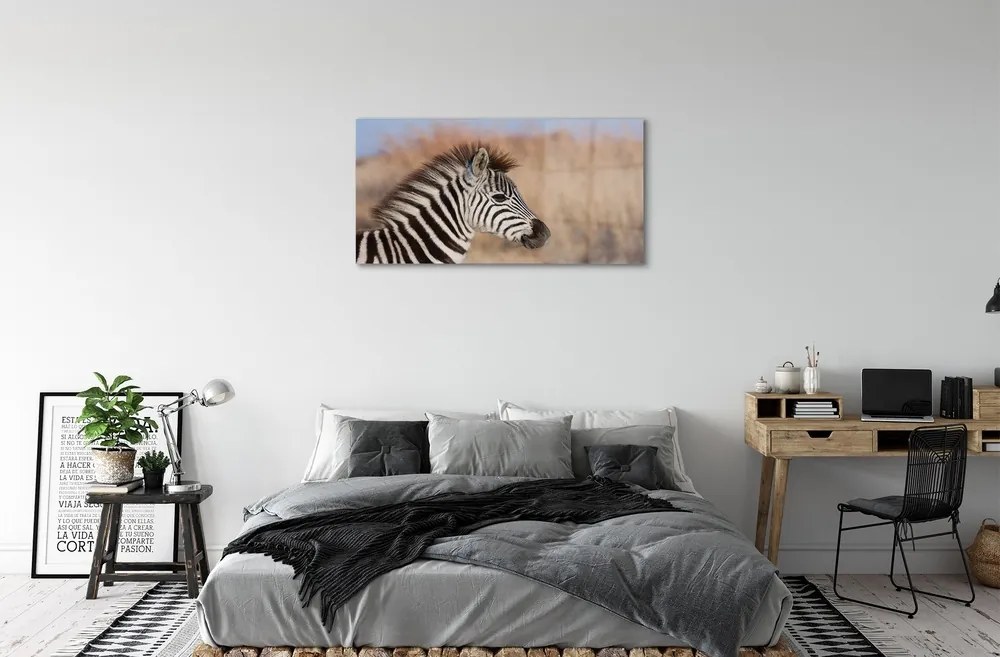 Sklenený obraz zebra 100x50 cm