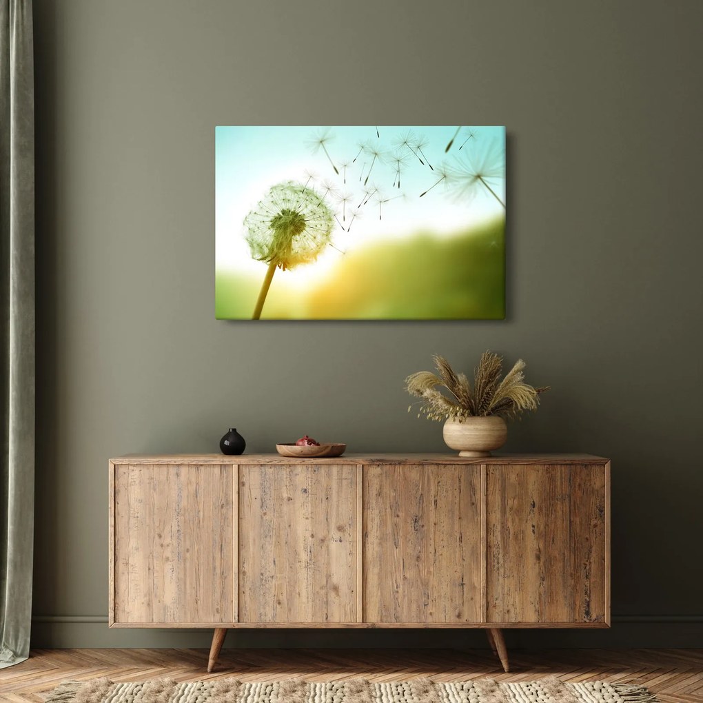 Obraz - Púpava vo vetre (90x60 cm)