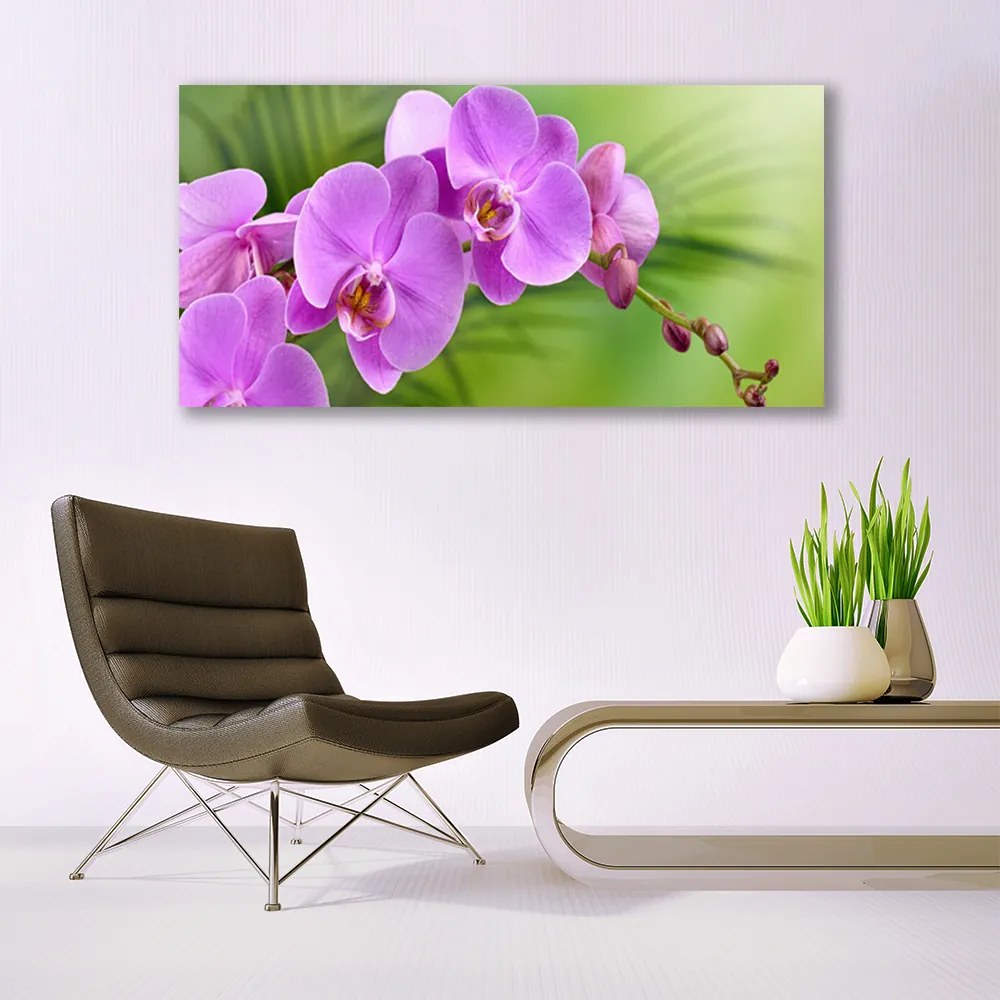 Obraz plexi Vstavač orchidea kvety 120x60 cm