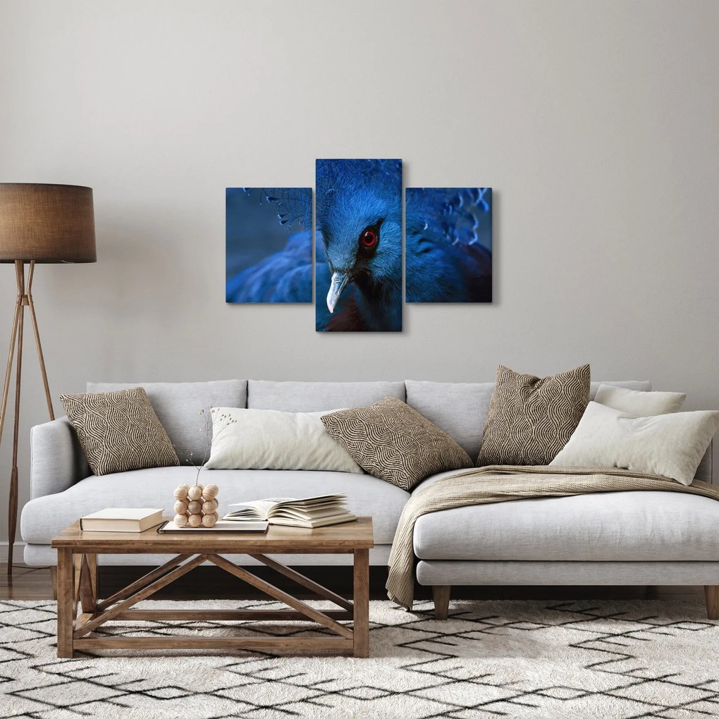 Obraz - Holub korunovaný (90x60 cm)