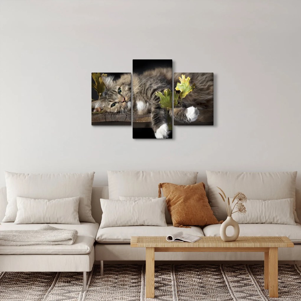 Obraz - Ležiaca mačka (90x60 cm)