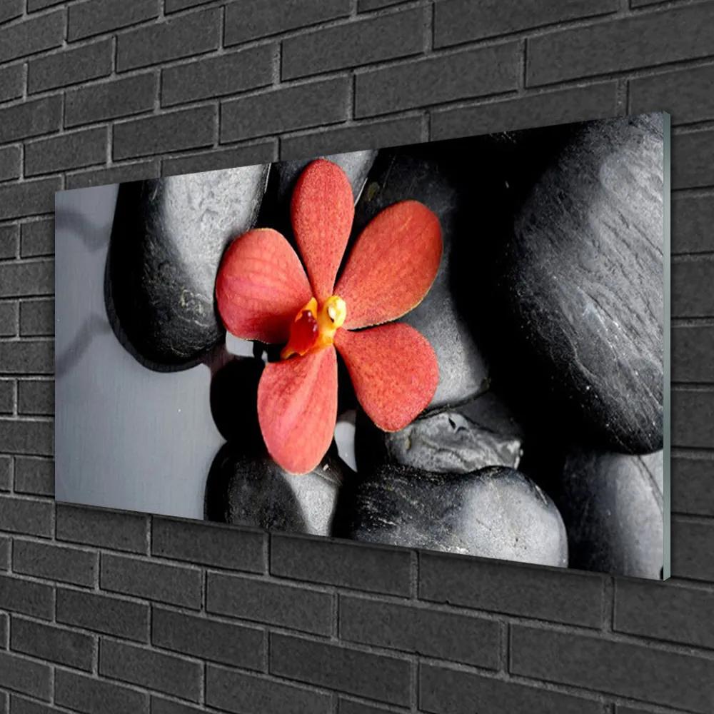 Obraz na skle Kvet kamene umenie 120x60 cm