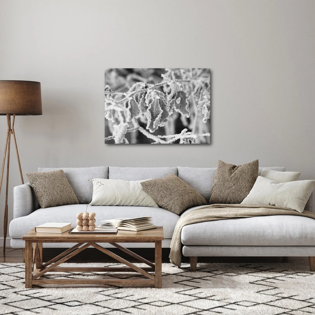 Obraz - Zmrznuté listy, čiernobiela (70x50 cm)