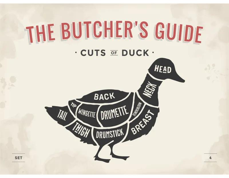 Ceduľa The Butchers Guide - Cuts of Duck 40 x 30 cm