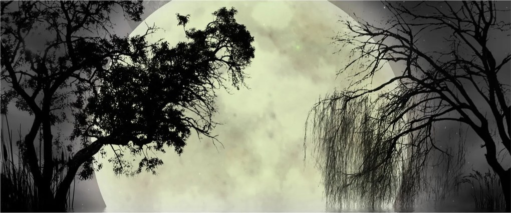 Obraz - Spln nad hladinou, čiernobiely variant (120x50 cm)