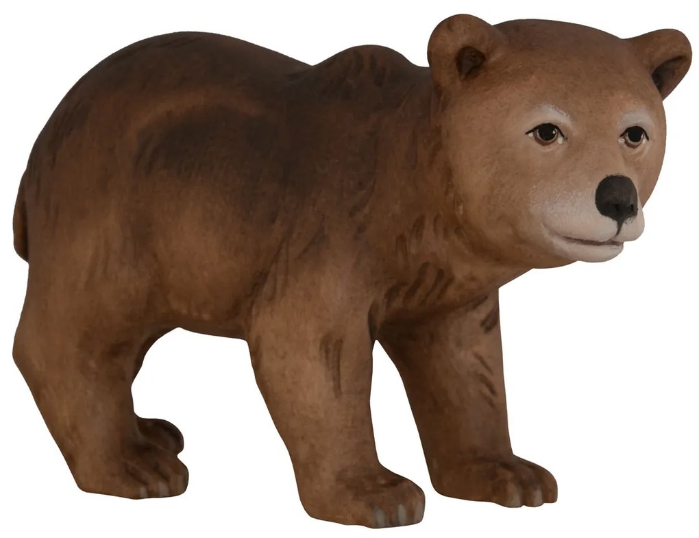 Medveď