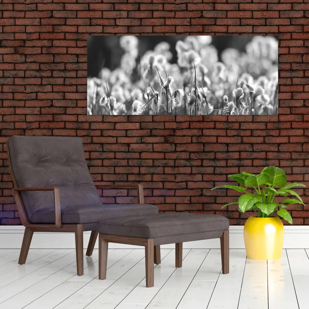 Obraz - Letná lúka (120x50 cm)