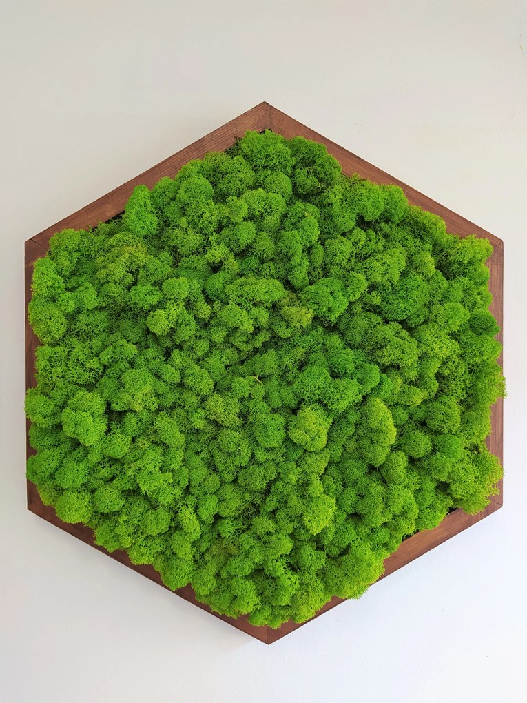 Sada machových obrazov- šesťuholník 3ks