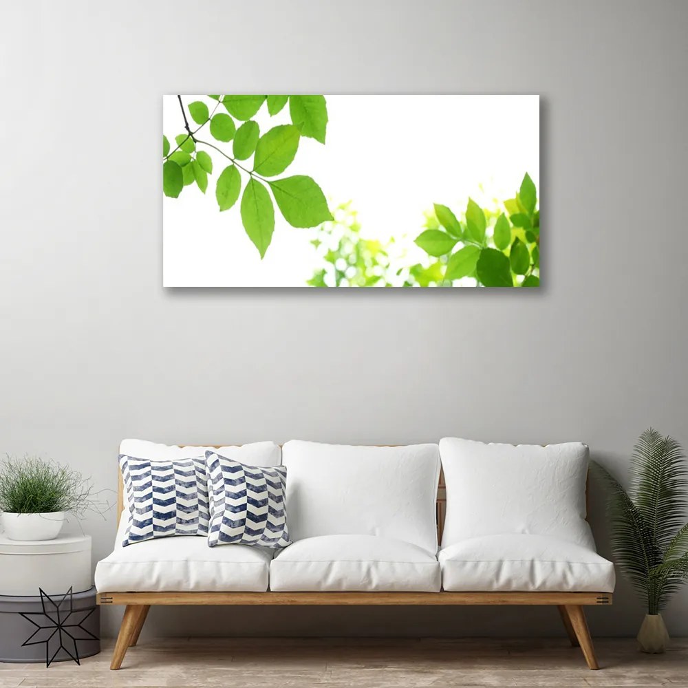 Obraz Canvas Plátky rastlina príroda 125x50 cm