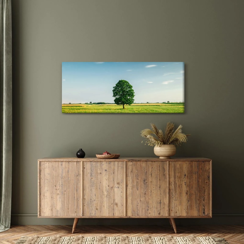 Obraz stromu na lúke (120x50 cm)