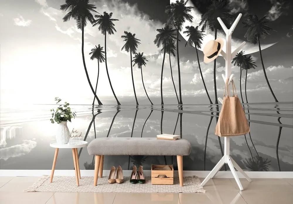 Samolepiaca tapeta čiernobiele tropické palmy - 150x100