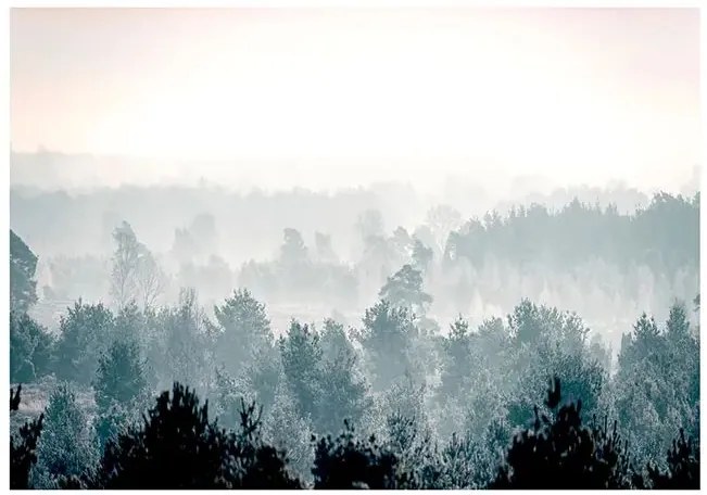 Samolepiaca fototapeta - Winter Forest Veľkosť: 147x105, Verzia: Samolepiaca