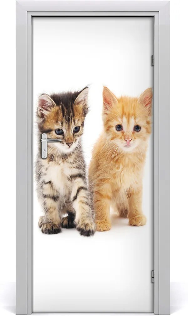 Samolepiace fototapety na dvere  Sivá a červená mačka