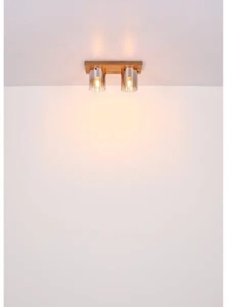 Globo 15915-2 - Stropné svietidlo UNDERWOOD 2xE27/40W/230V