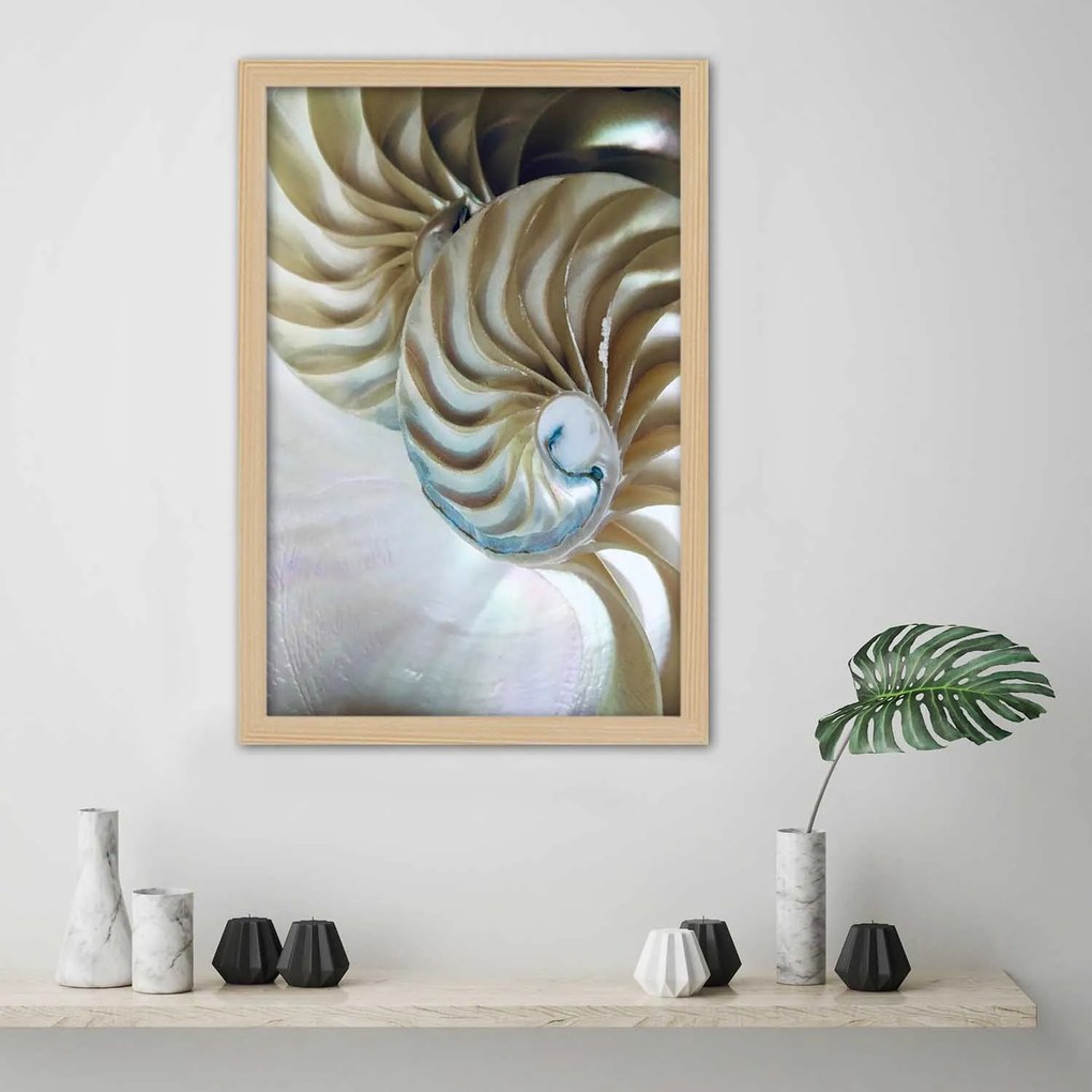 Gario Plagát Vnútro škrupiny Farba rámu: Bez rámu, Rozmery: 30 x 45 cm