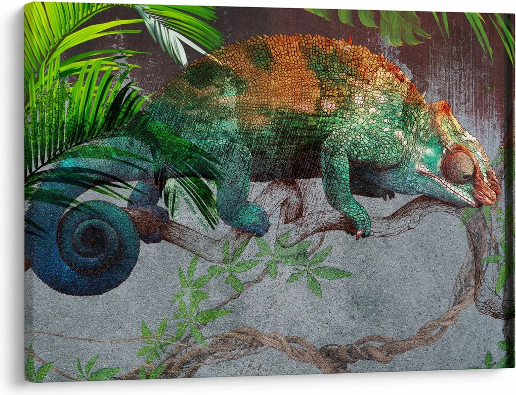 Obraz - Chameleon (70x50 cm)