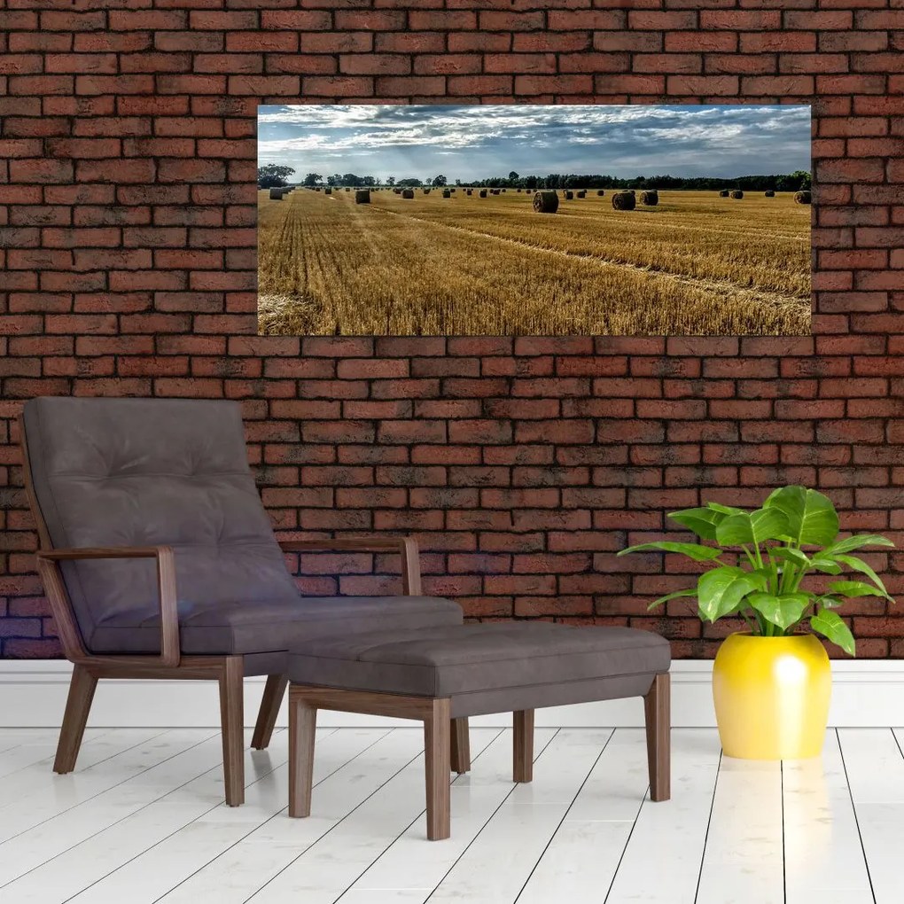 Obraz zozbieraného obilného poľa (120x50 cm)