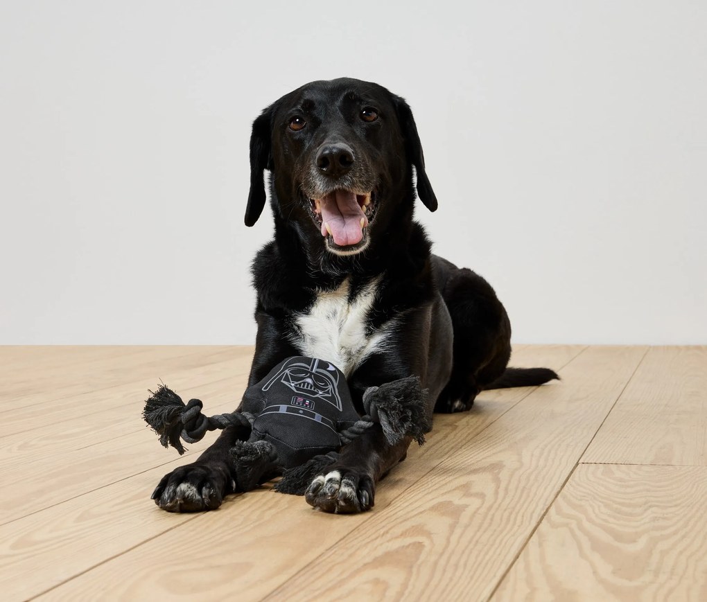 Hracie lano pre psov »Star Wars«