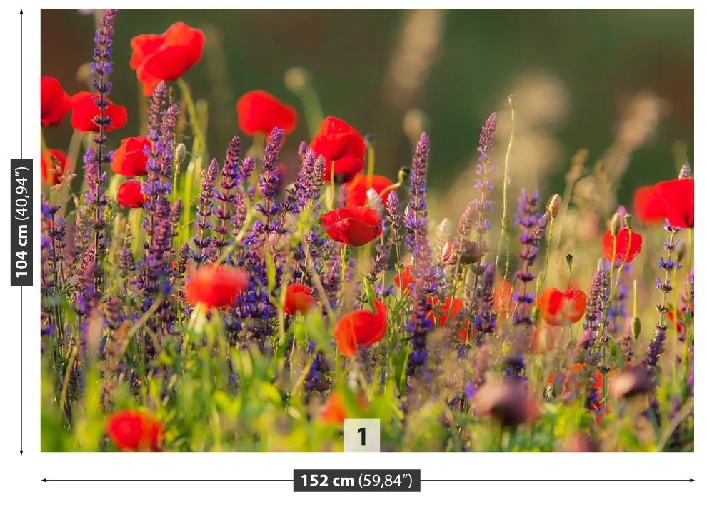Fototapeta Vliesová Poľné kvety 104x70 cm