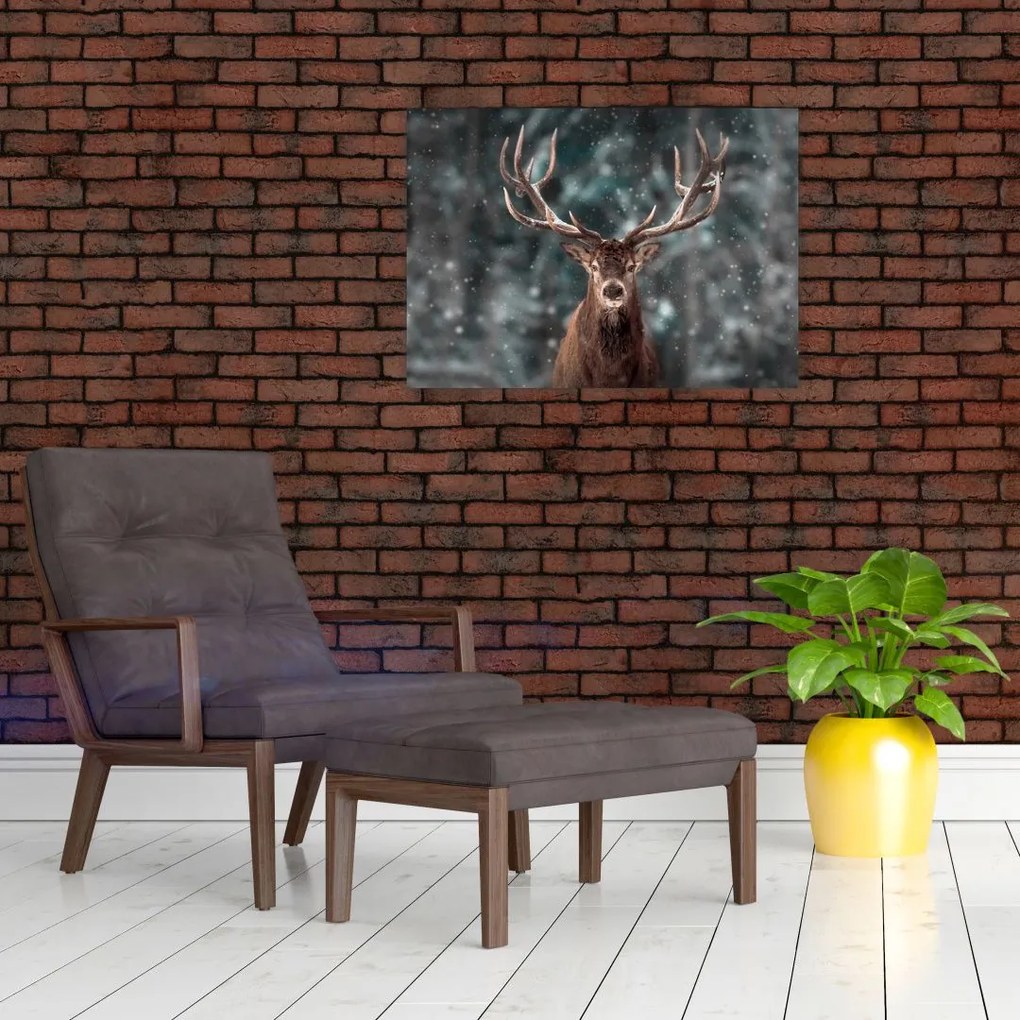 Sklenený obraz - Majestátnosť jeleňa (70x50 cm)