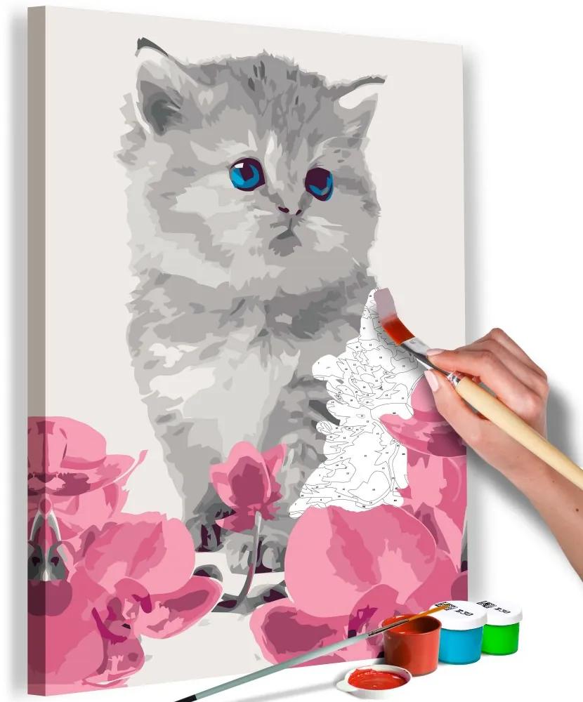 Maľovanie podľa čísiel - Kitty Cat 40x60