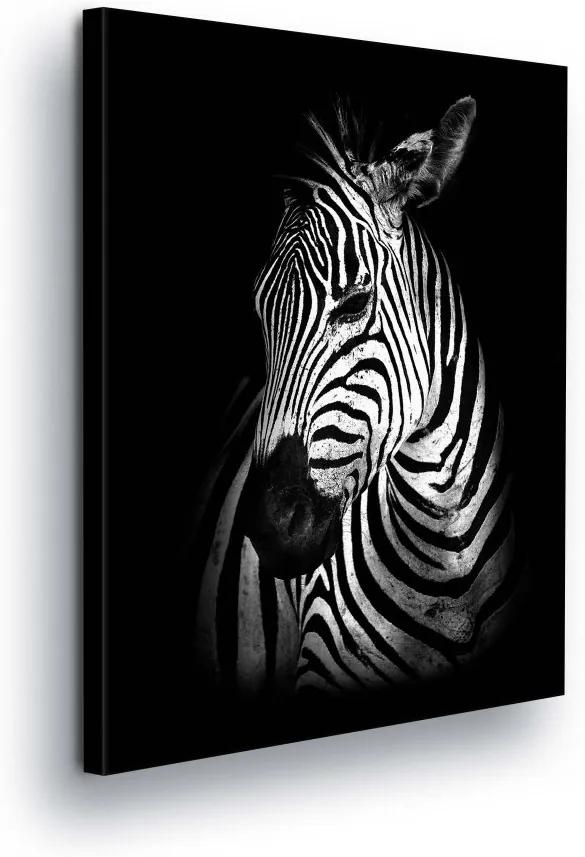 GLIX Obraz na plátne - Black and White Zebra 100x75 cm