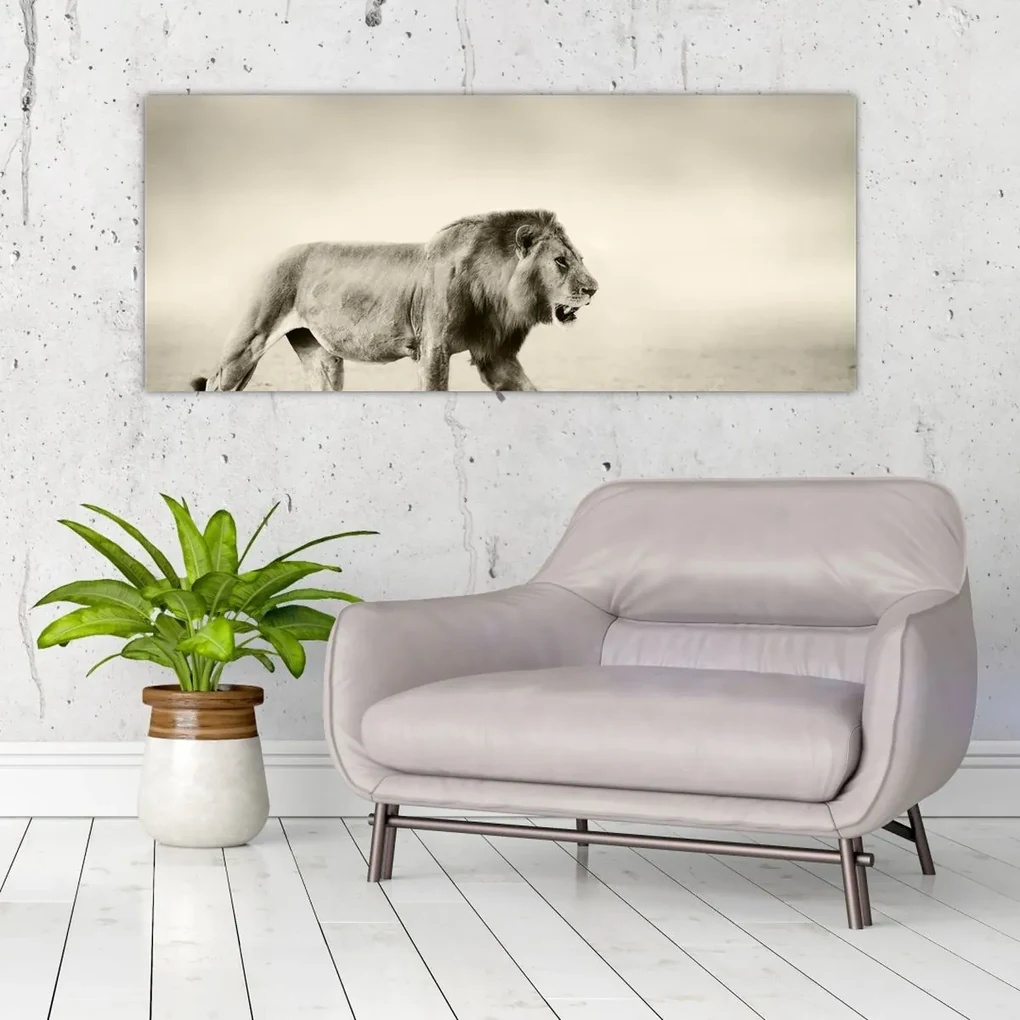 Obraz - Hladný lev (120x50 cm)