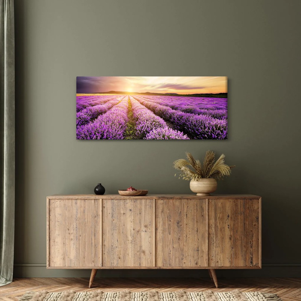 Obraz - Východ slnka v levanduľovom poli (120x50 cm)