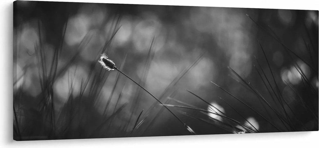 Obraz - Lúčna tráva (120x50 cm)