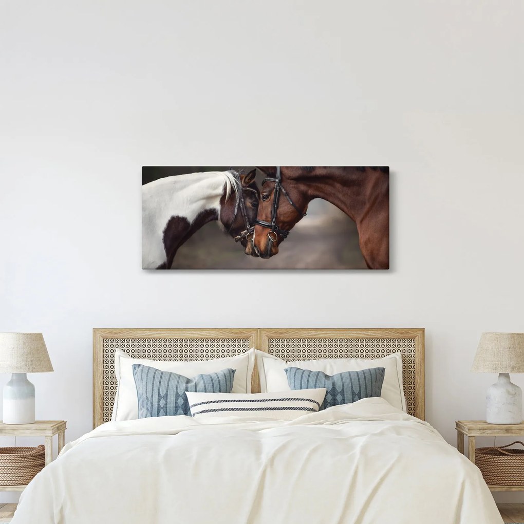 Obraz - Zamilované kone (120x50 cm)