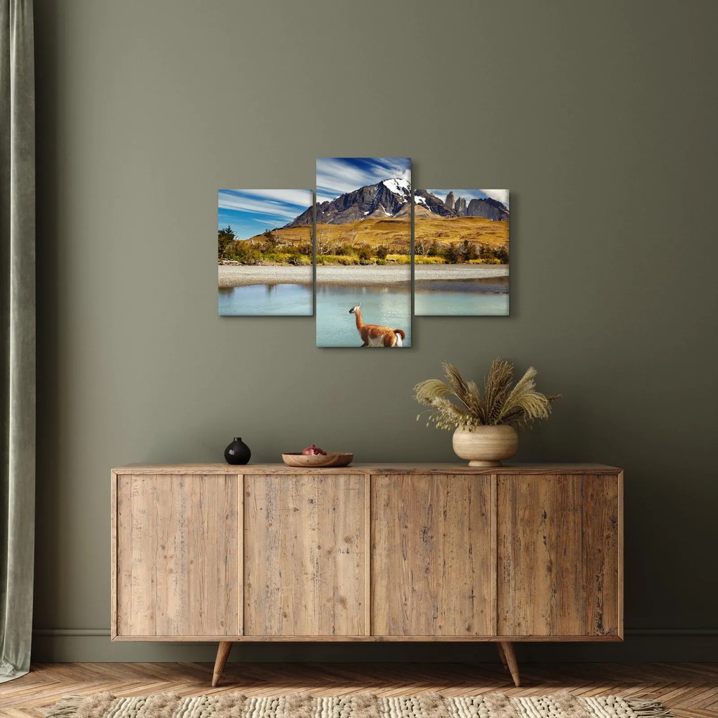 Obraz - Národný park Torres del Paine (90x60 cm)