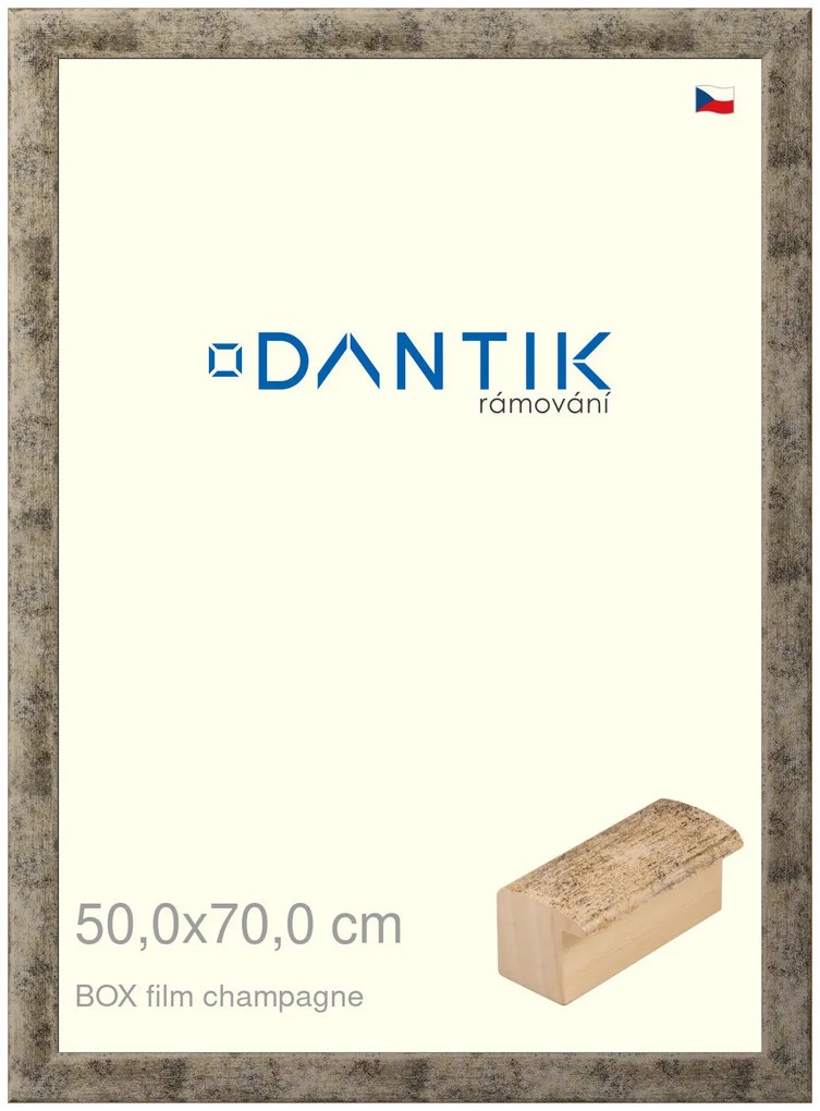 DANTIK rám na obraz 50x70 | BOX film champagne (Plexi Čiré)