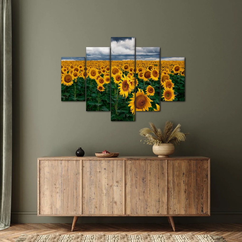 Obraz slnečnicového poľa (150x105 cm)