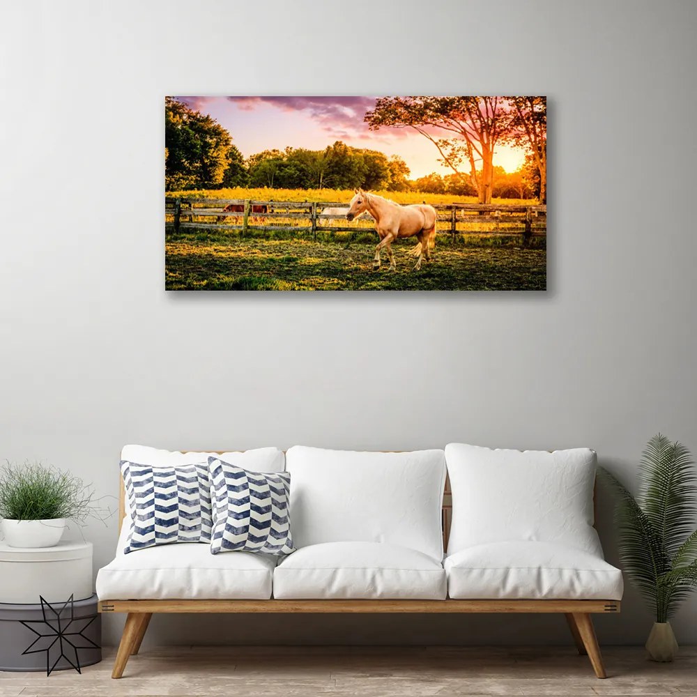 Obraz na plátne Kôň lúka zvieratá 120x60 cm