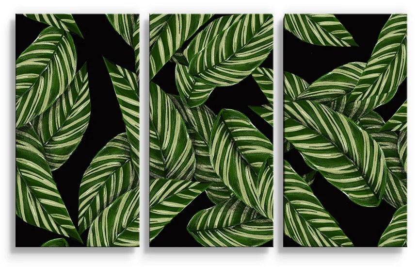Sablio Obraz - 3-dílný Abstrakcia listov - 120x80 cm