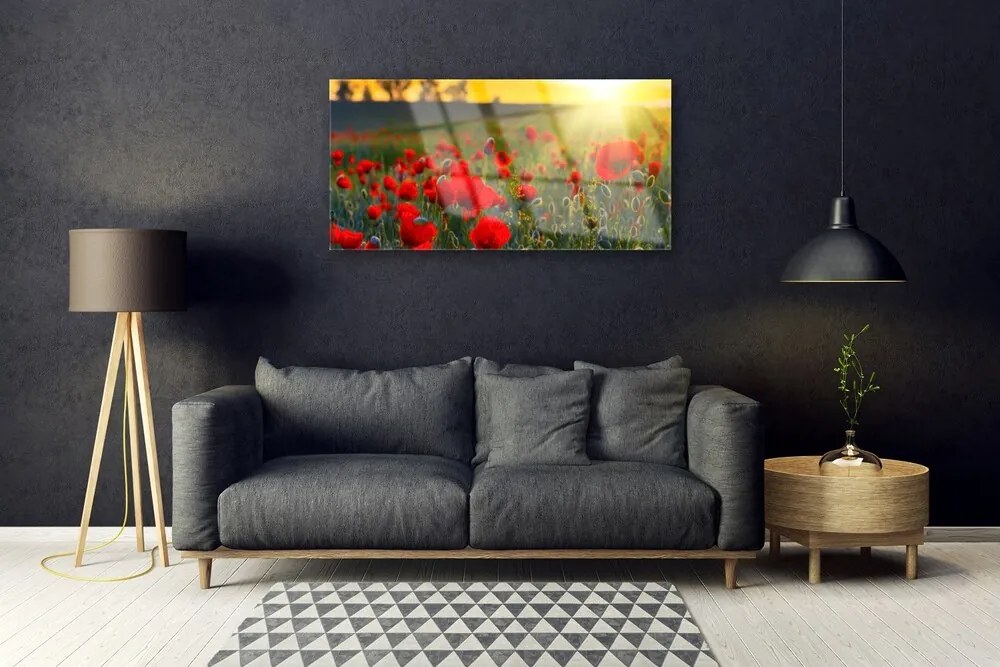 Skleneny obraz Lúka maky rastlina príroda 125x50 cm