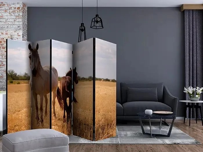 Paraván - Horse and foal II [Room Dividers] Veľkosť: 225x172, Verzia: Akustický