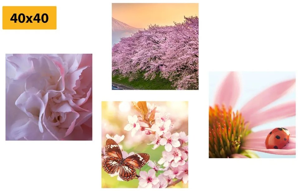 Set obrazov rozkvet prírody Varianta: 4x 40x40