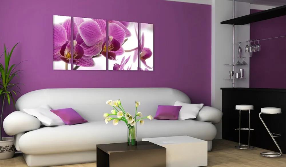 4-dielny obraz kvety - Marvelous orchid