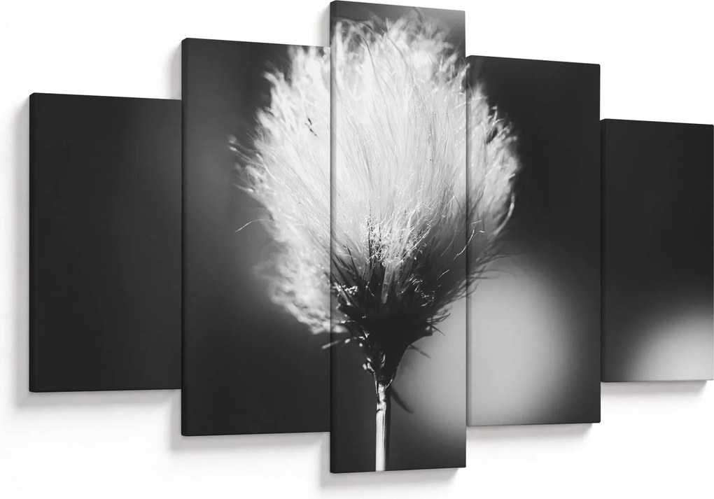 Obraz - Čiernobiely cottongrass (150x105 cm)