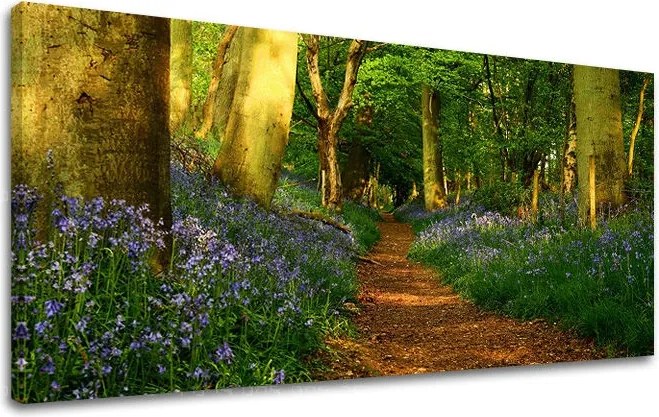 Obraz na stenu PANORÁMA STROMY ST009E13