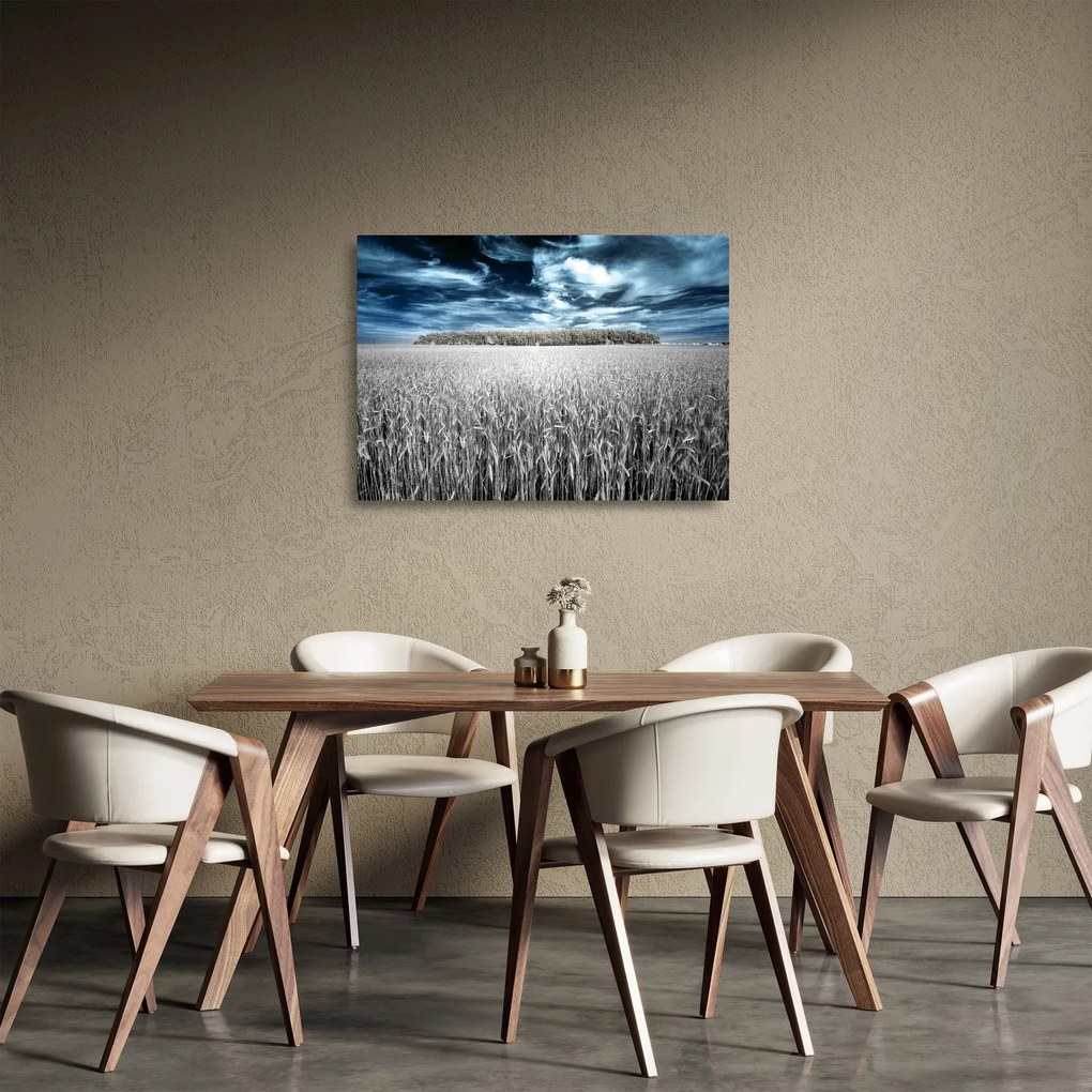 Sklenený obraz pole (70x50 cm)