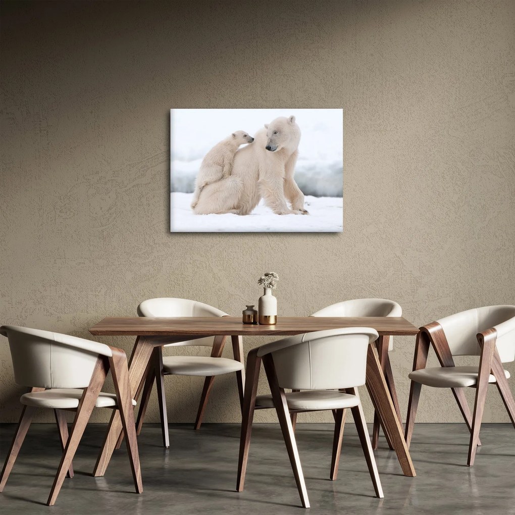 Obraz - Ľadové medvede (70x50 cm)