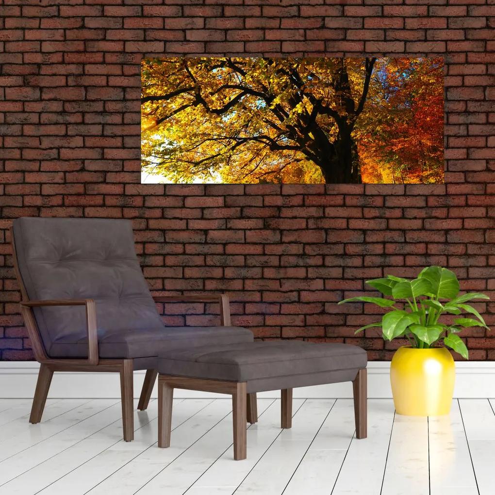 Obraz jesenného stromu (120x50 cm)