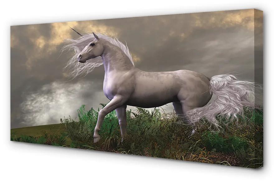 Obraz canvas Unicorn mraky 125x50 cm
